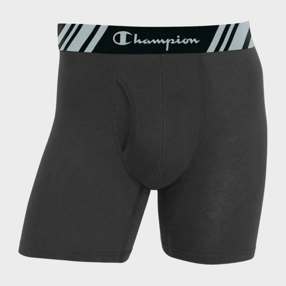 Best Men's Champion Boxers 5PK Underwear
