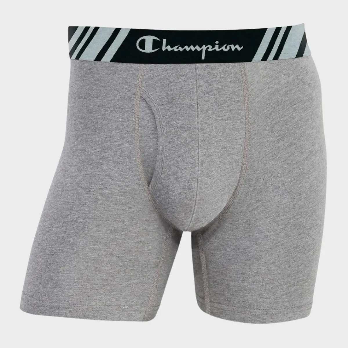 Best Men's Champion Boxers 5PK Underwear