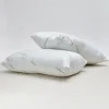 Online 2 Pack Bamboo Pillows Pillows